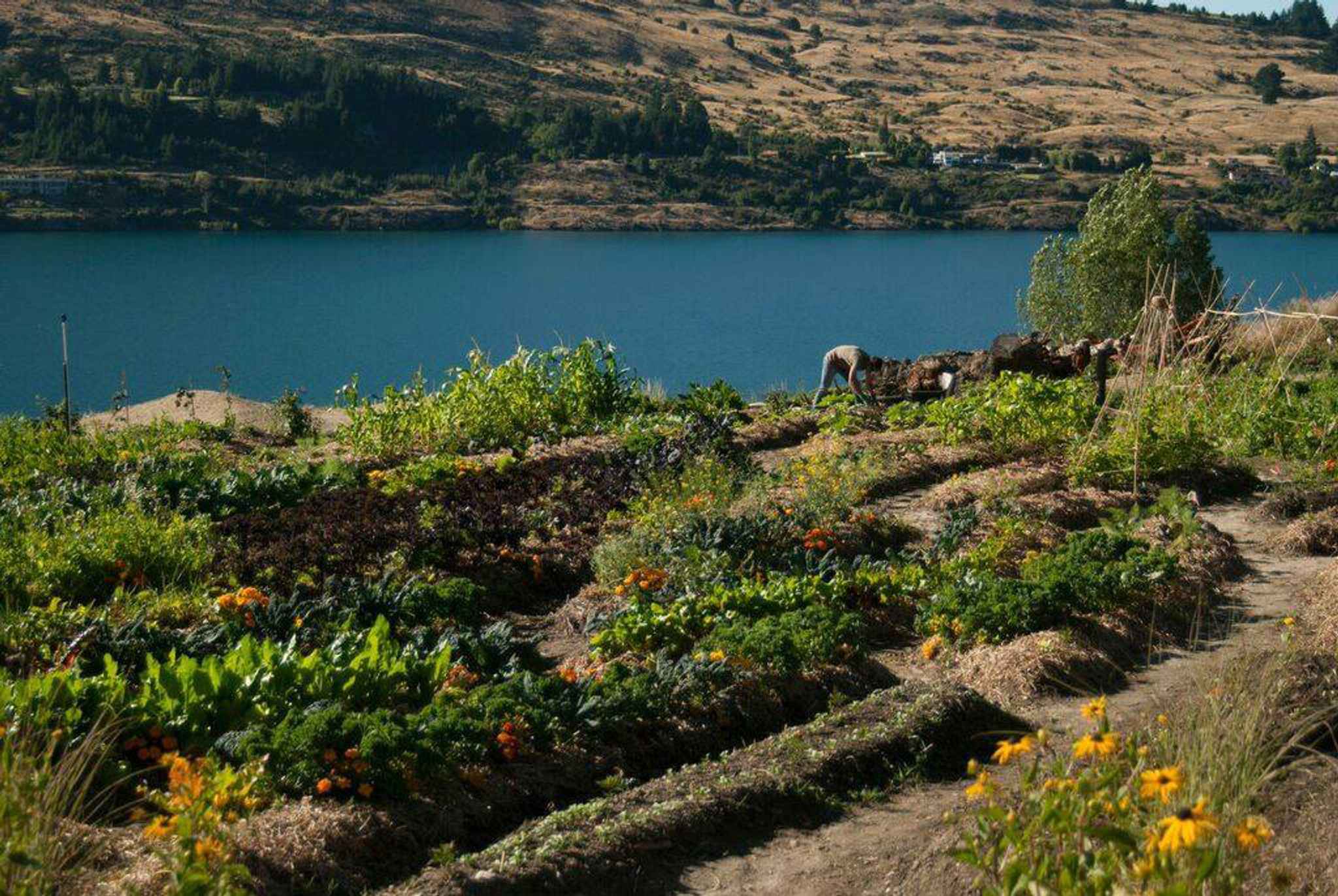 sherwood garden article