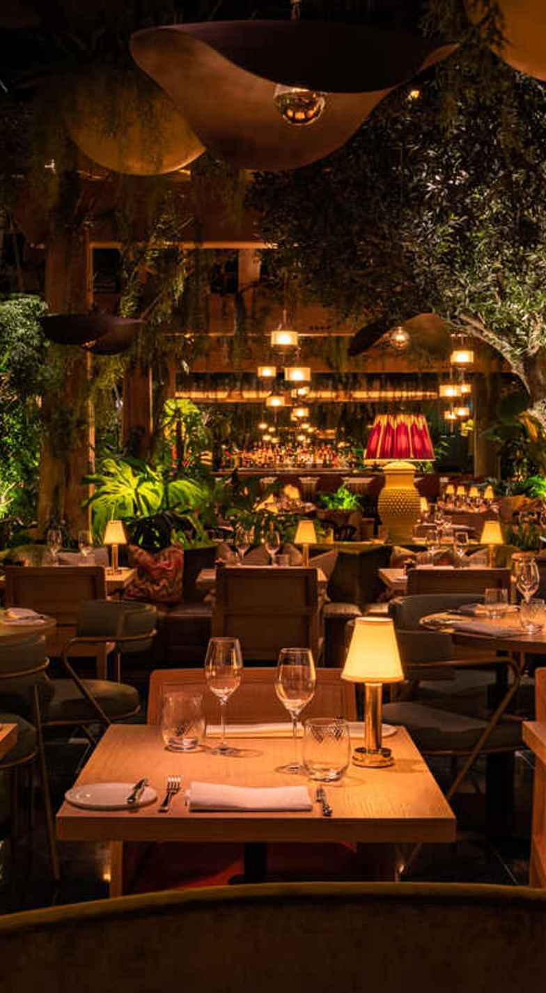 14 Stories: 50% off the first table of the night with First Table