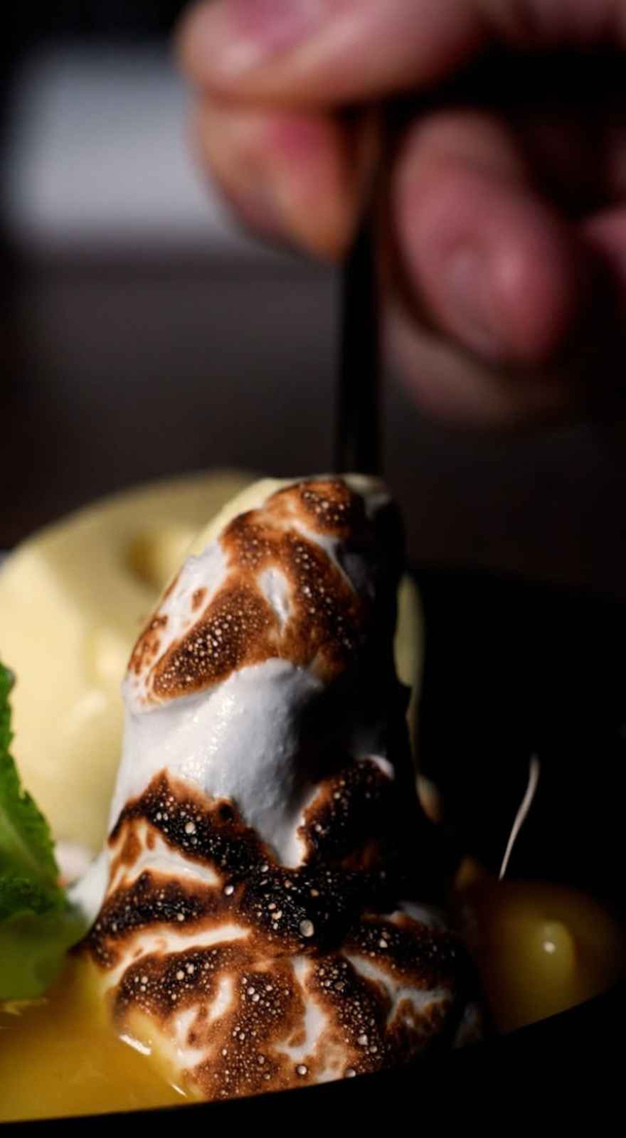 D.Vino Bistro & Vinoteca – Degustation Menu