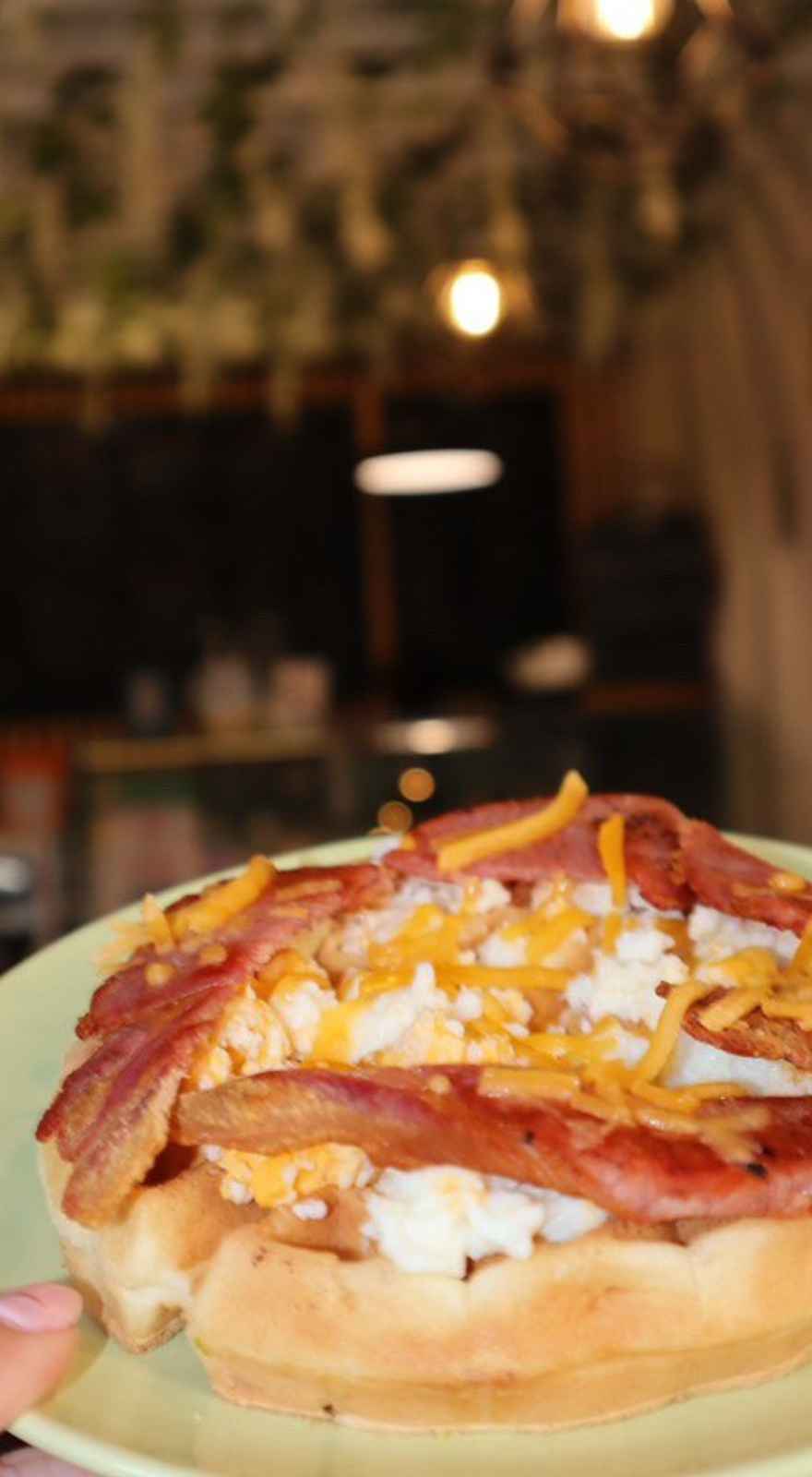 The Coffee Connection