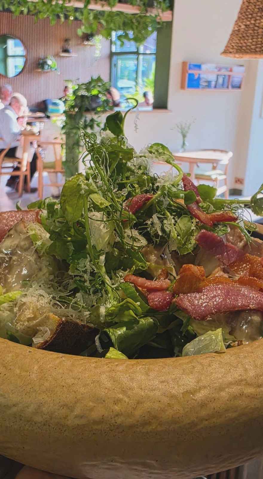 Moss Cafe & Restaurant