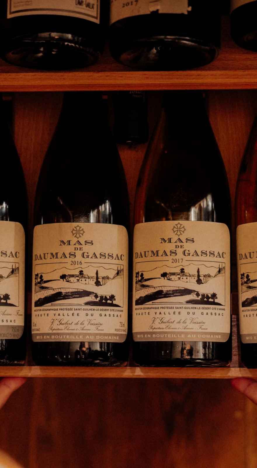 Piglet Wine Bar