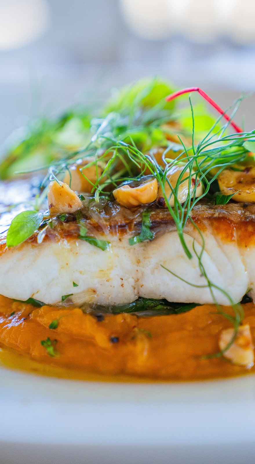 Six Beaches Fish Grill and Bar