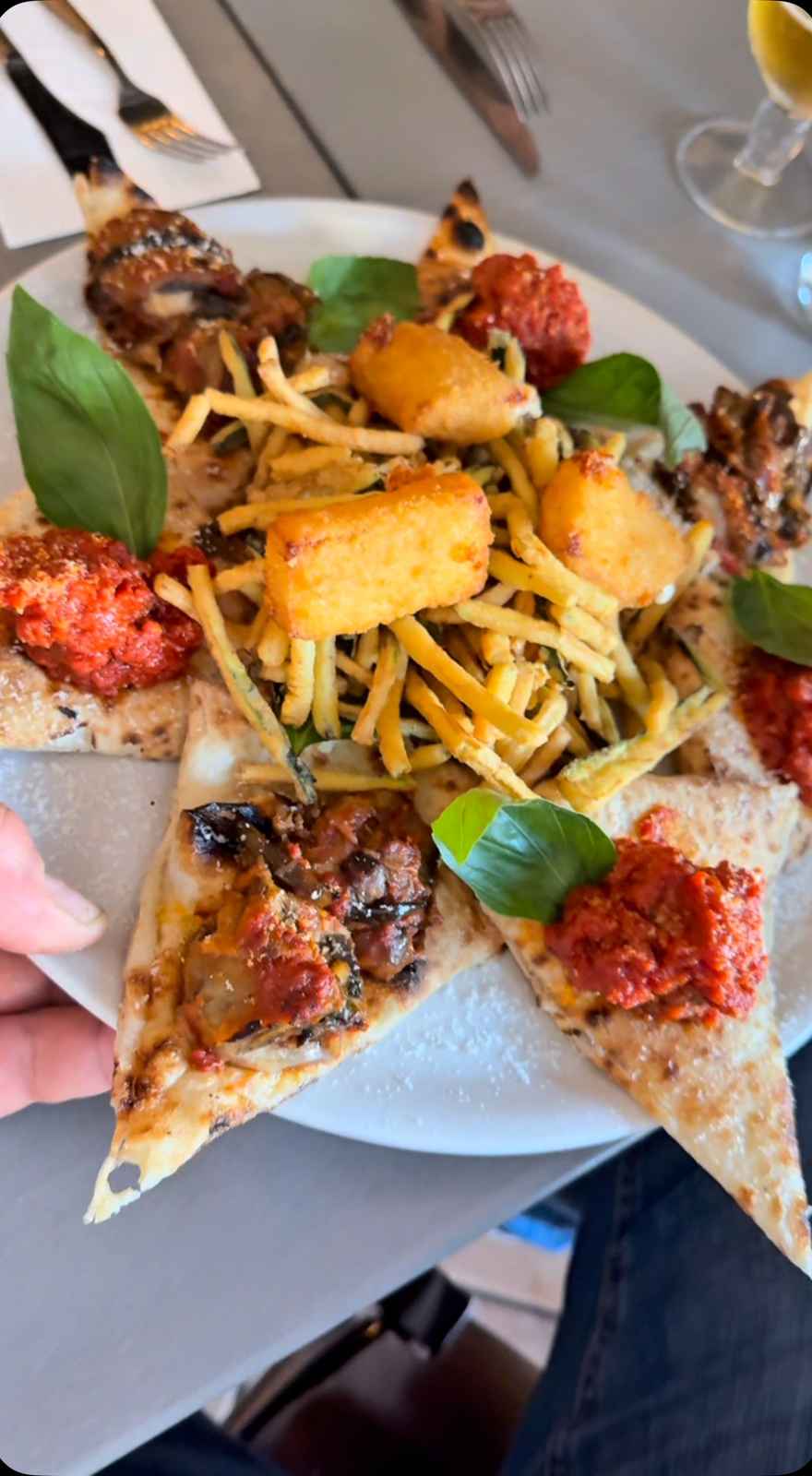 Pizza Metro Pizza