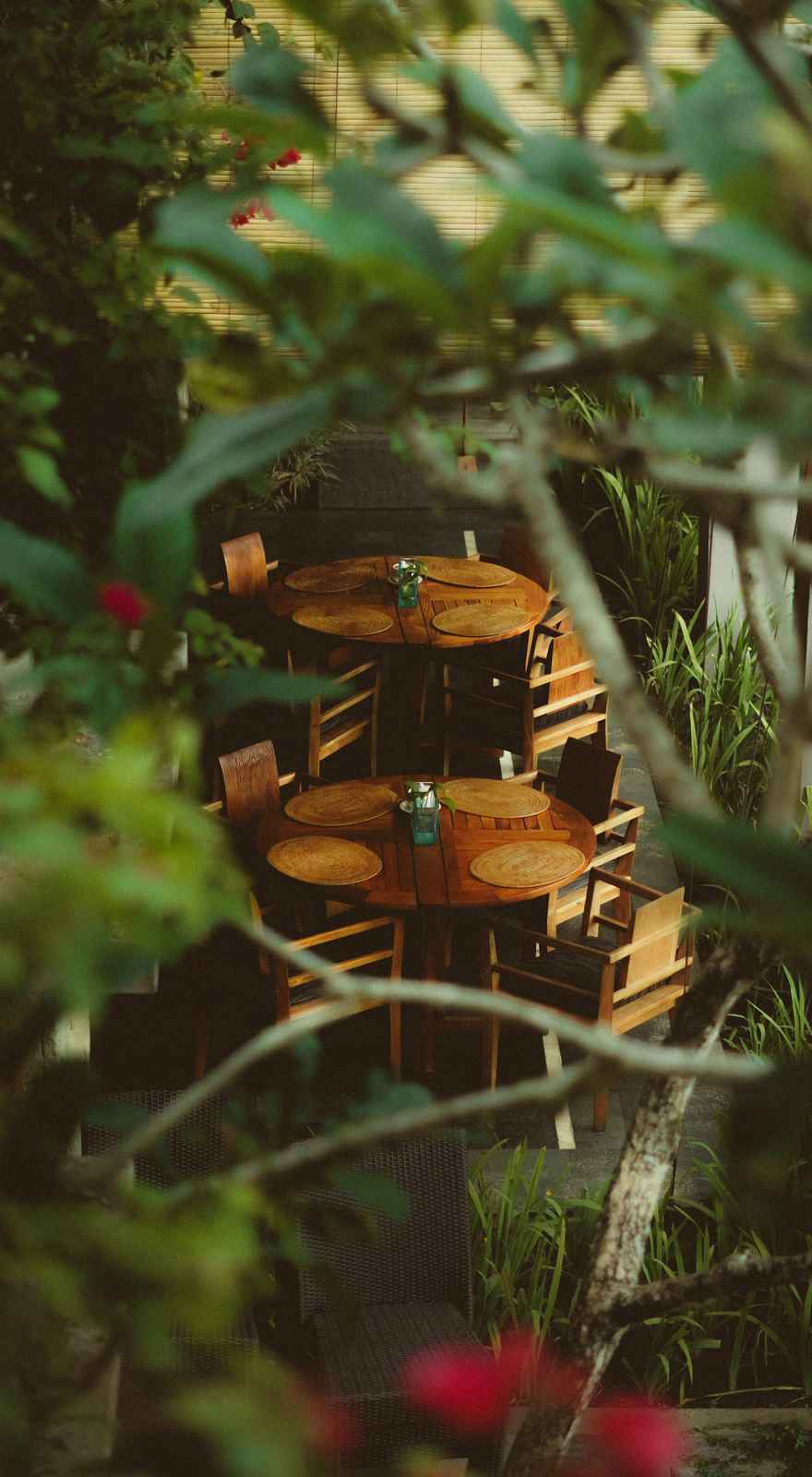 Tree Bar at Maya Ubud