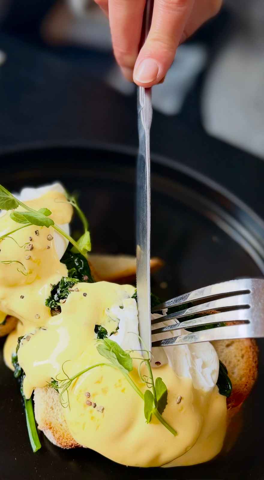 Amelia's Bar & Kitchen