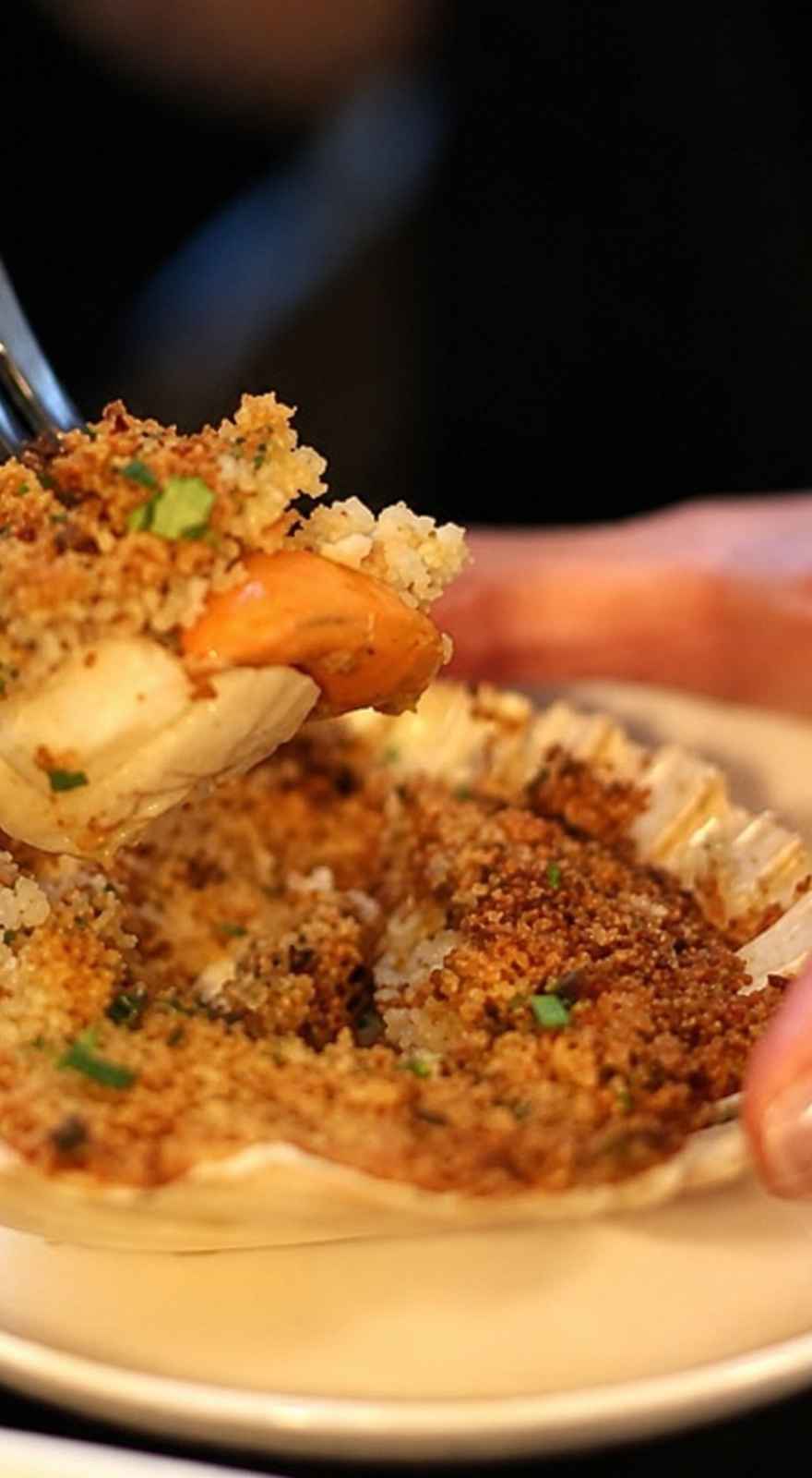 Fadiga Ristorante Bolognese