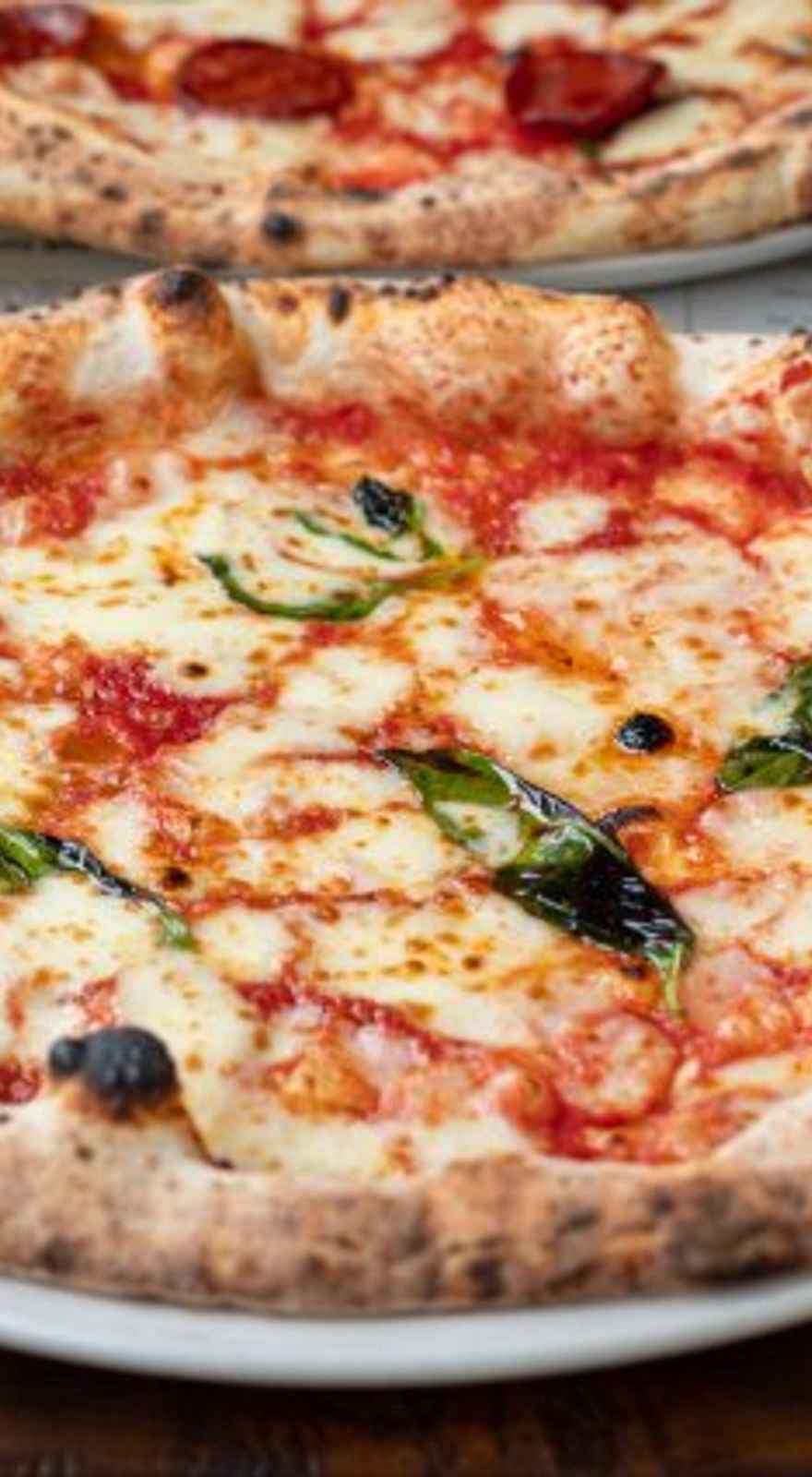 Franco Manca Southgate Bath