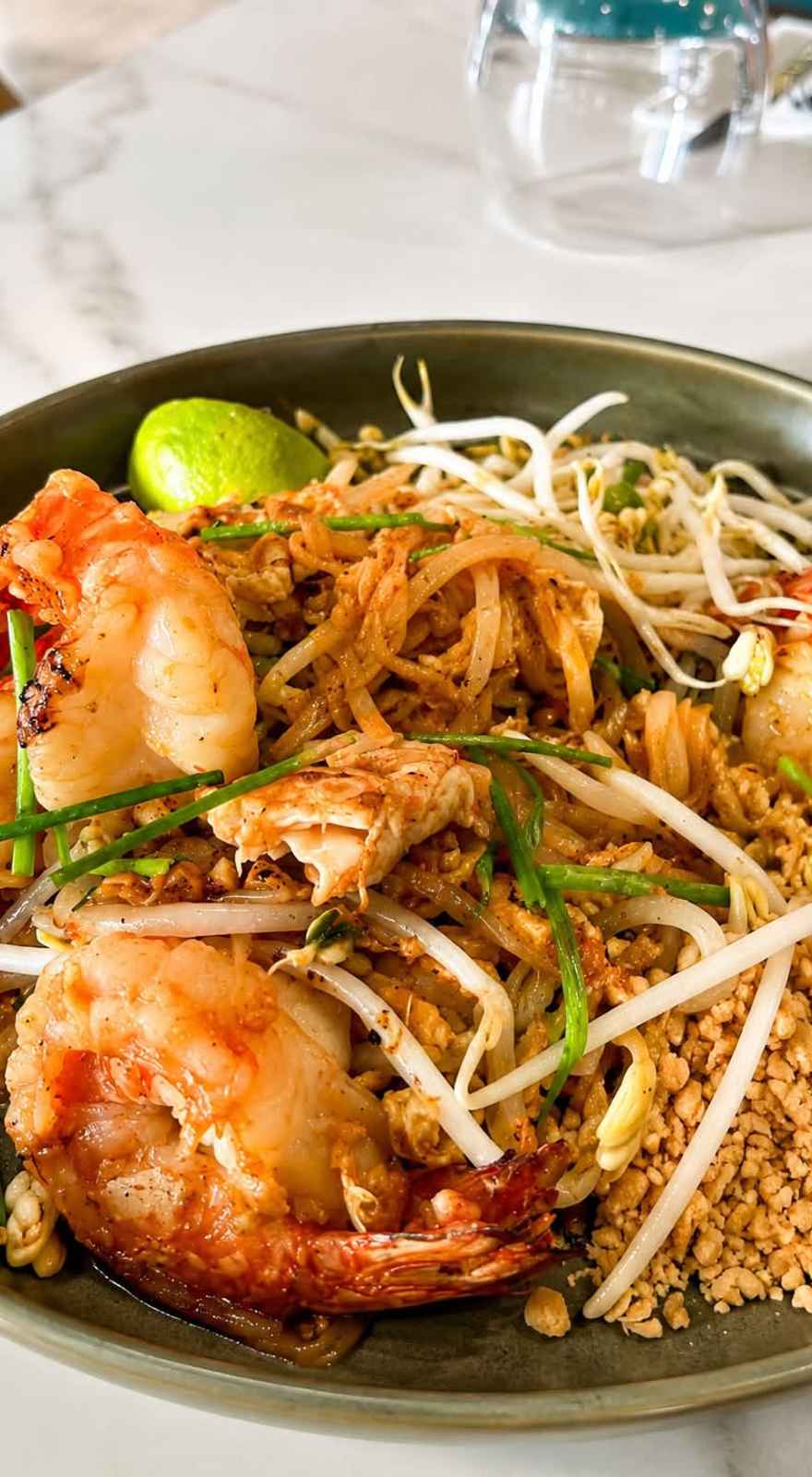 Ginger Modern Thai Cafe Eatery