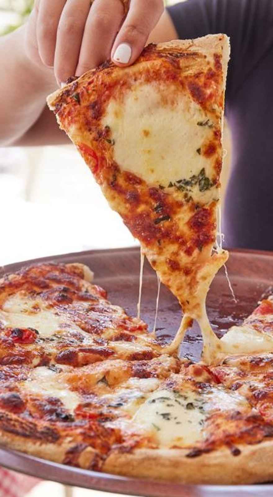 Hungry Wolf's Terrigal