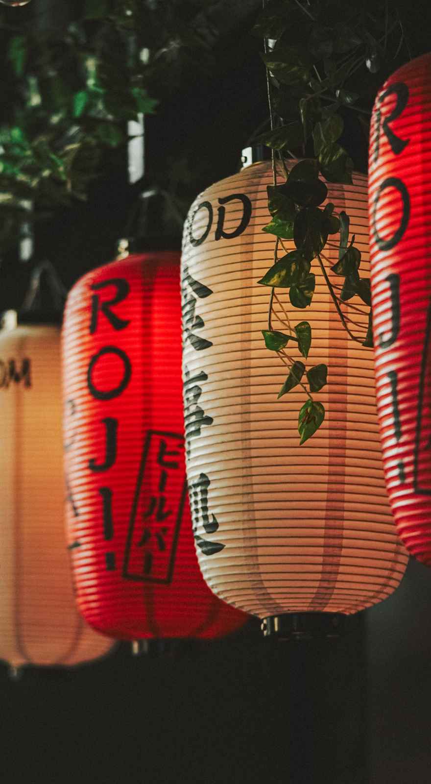 Roji Cat Beer