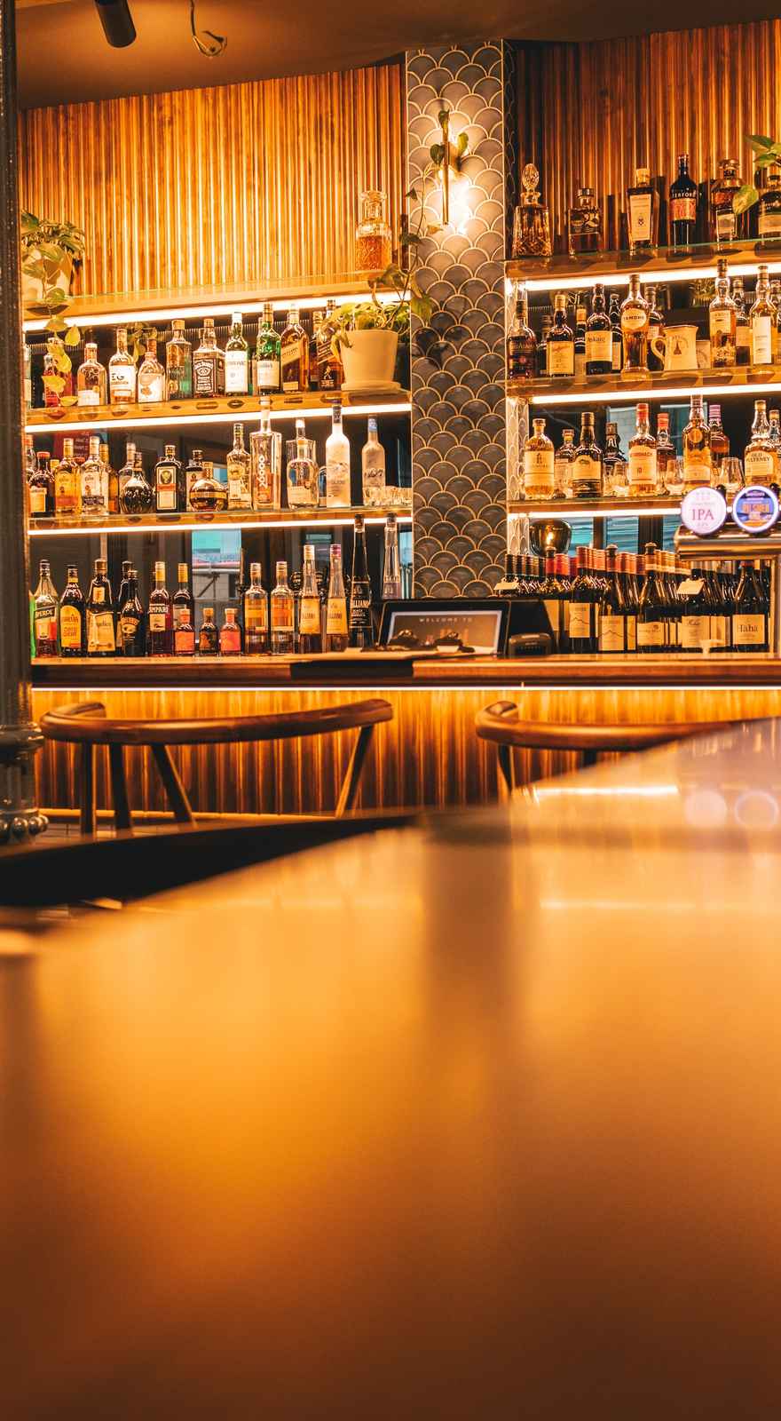 The Hoi Polloi