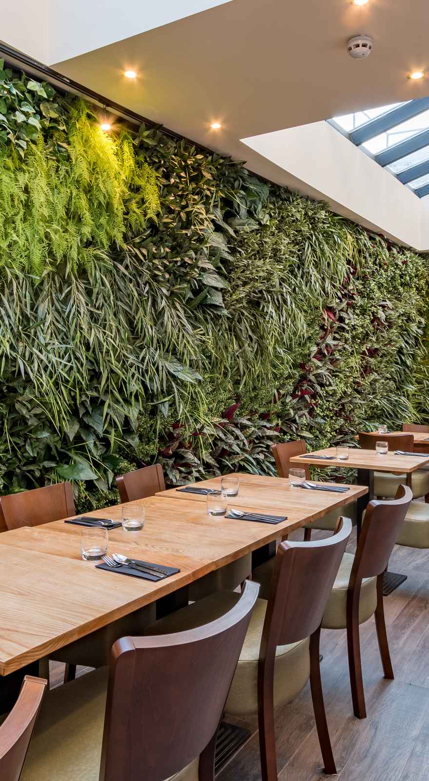 Thai Square Islington