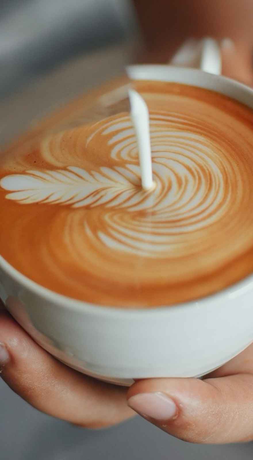 Mash Café and Restaurant