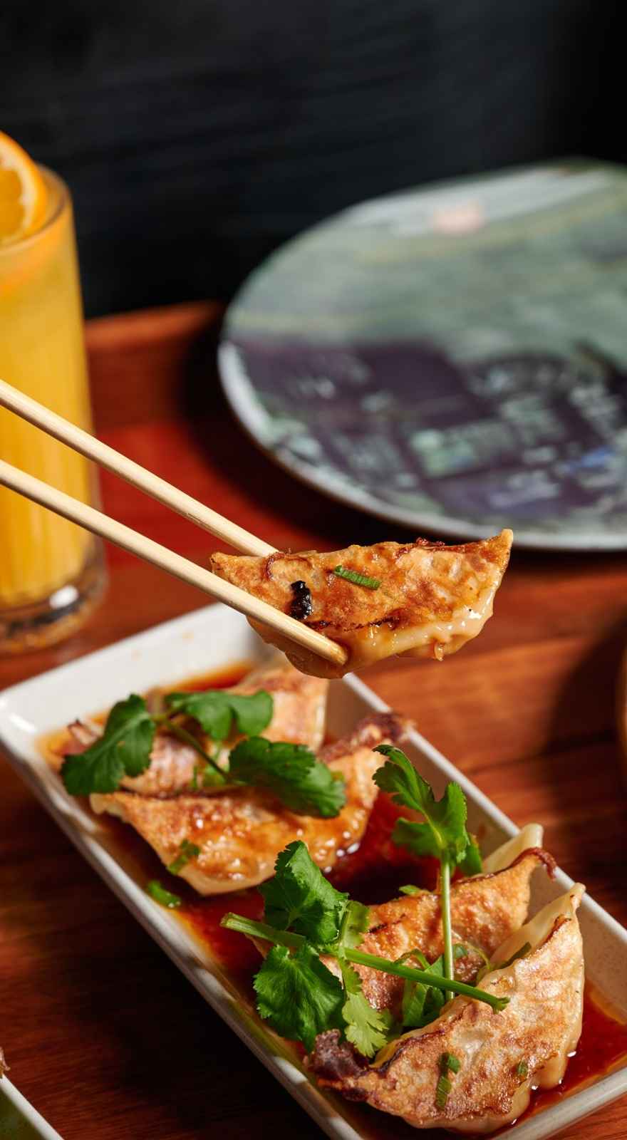 Harajuku Gyoza Broadbeach