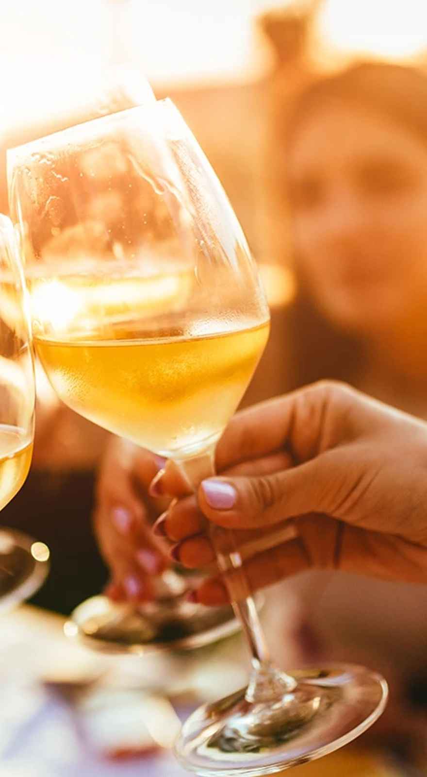 Secret Wine Garden at Manor Estate