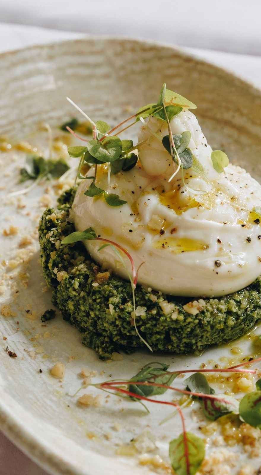 Hungry Wolf's Terrigal