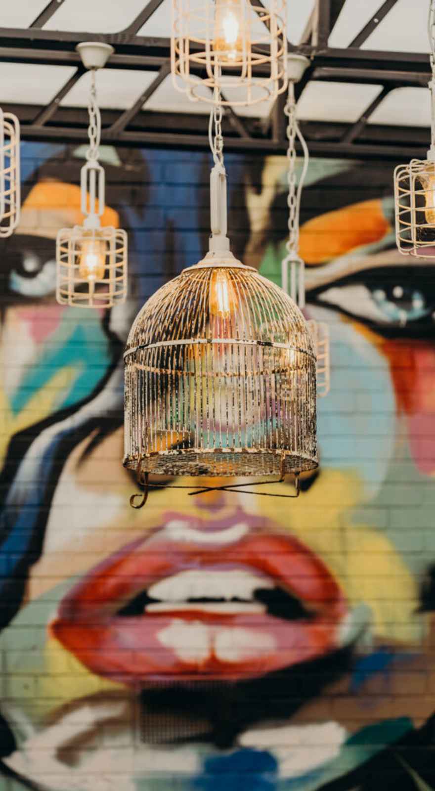 The Budgie Bar