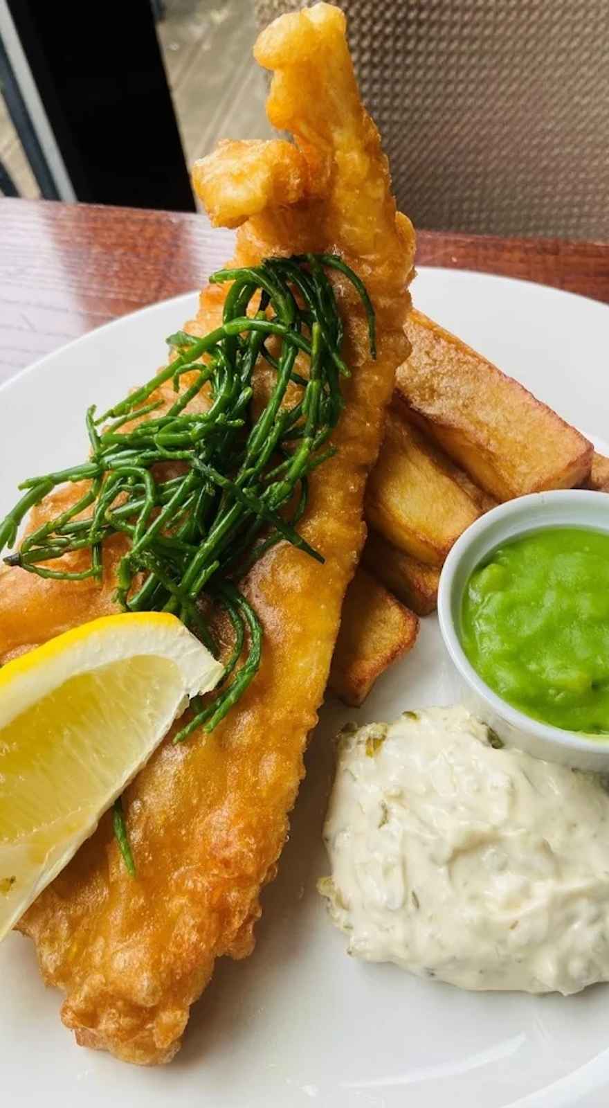 The Moldy Fig @ The Concorde