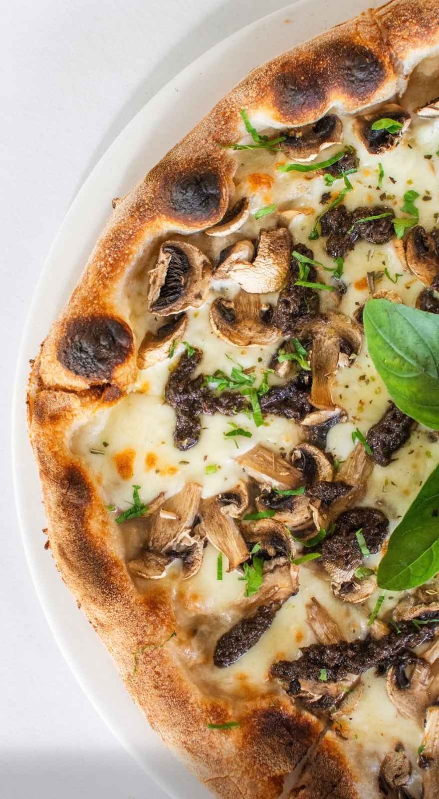 The Beach Shack Port Douglas